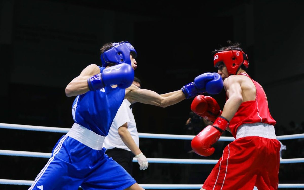 Live Boxing Streams: Where to Watch Championship Fights Anytime